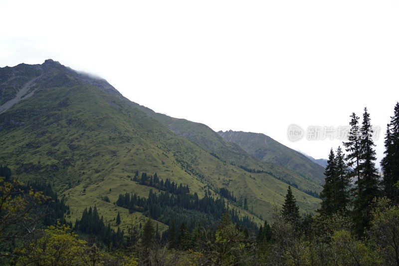 四川阿坝藏族羌族自治州四姑娘雪山风貌