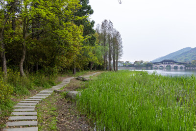 春天的无锡蠡湖国家湿地公园