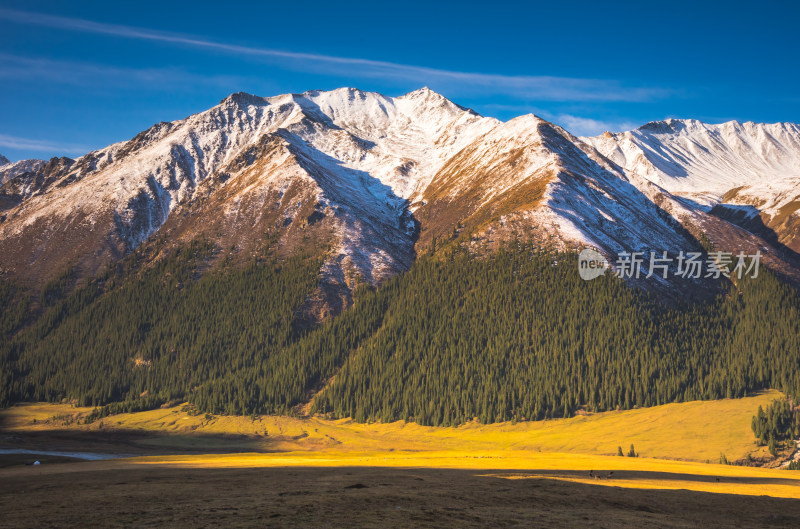 新疆夏塔草原阳光自然风景