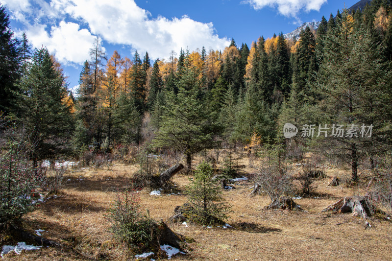 川西雪山秋色，四姑娘山双桥沟景区