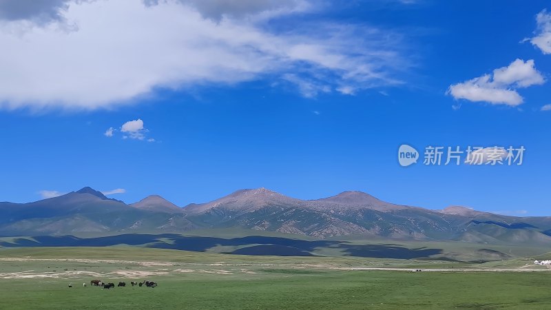 广阔草原上的连绵山脉蓝天白云风景