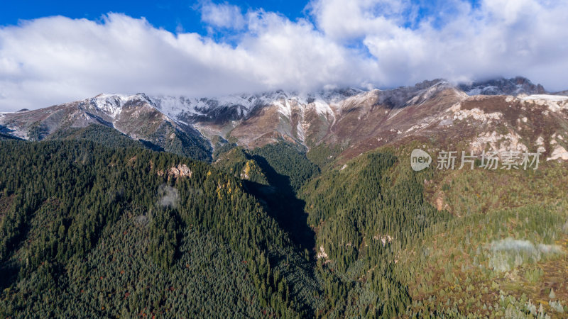 阿坝州若巴藏拉克山