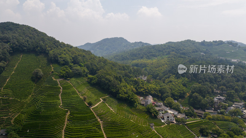 航拍杭州西湖龙井茶园 十里琅珰 龙井问茶