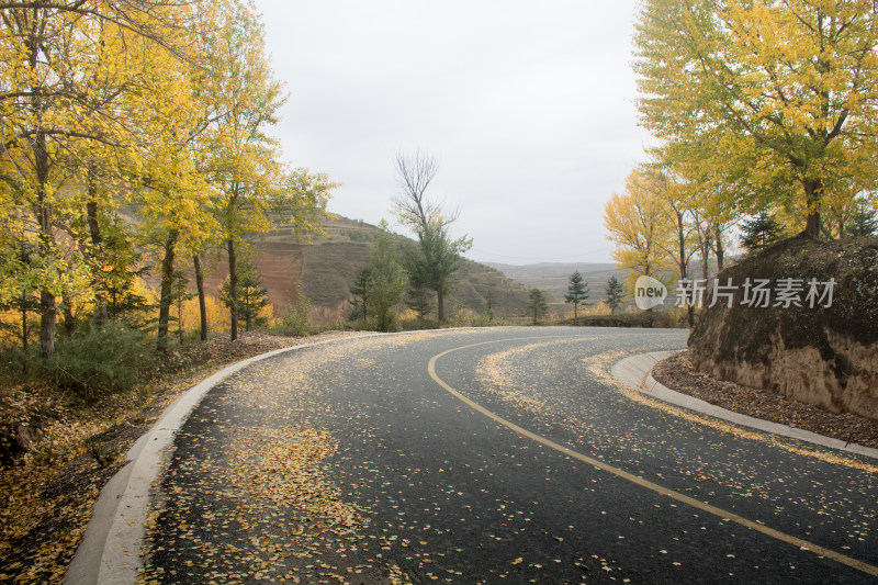 秋天的乡村公路