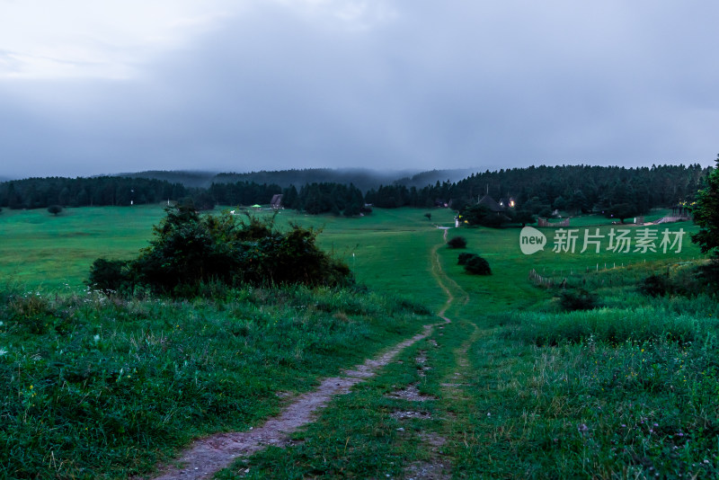 重庆武隆仙女山森林公园