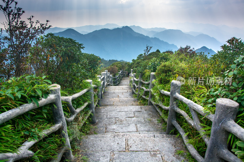 山间石阶步道，两侧绿植环绕风景好