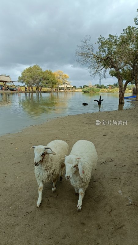 手机拍摄的大美新疆