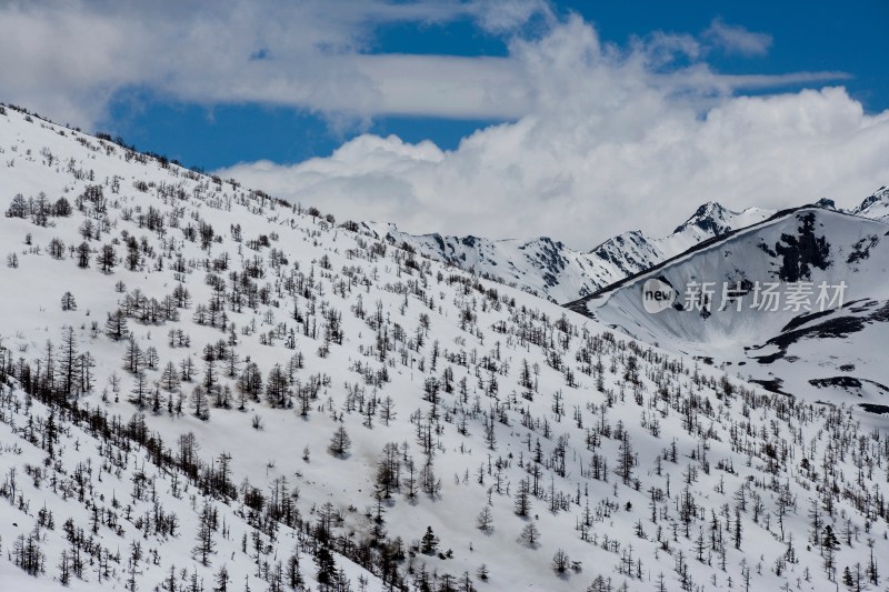 白马雪山