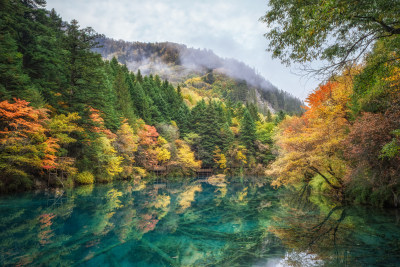 四川阿坝州九寨沟秋色静谧湖光金秋倒影色彩