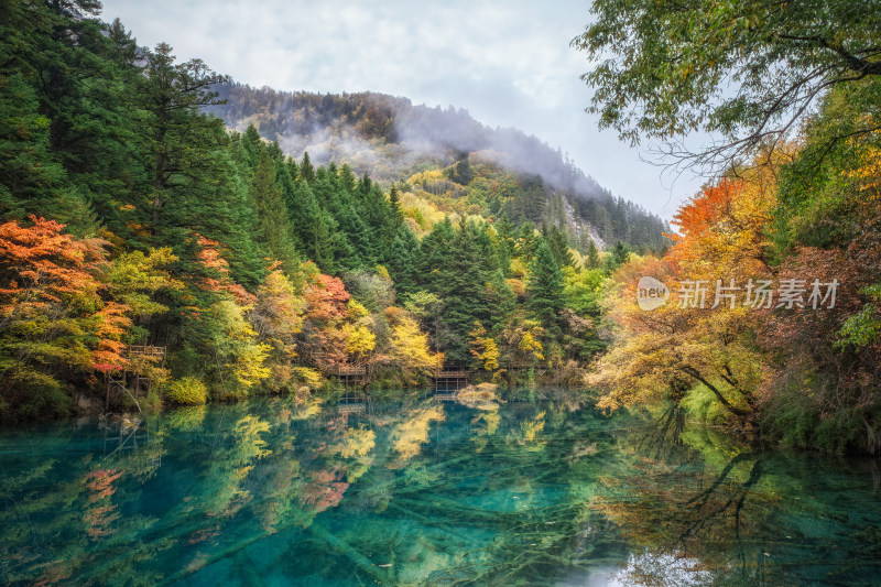 四川阿坝州九寨沟秋色静谧湖光金秋倒影色彩