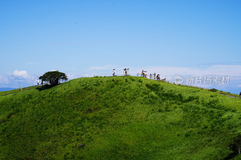 日本静冈县伊东市大室山仙人掌动物园