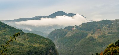 重庆酉阳：漫山遍野枫叶红