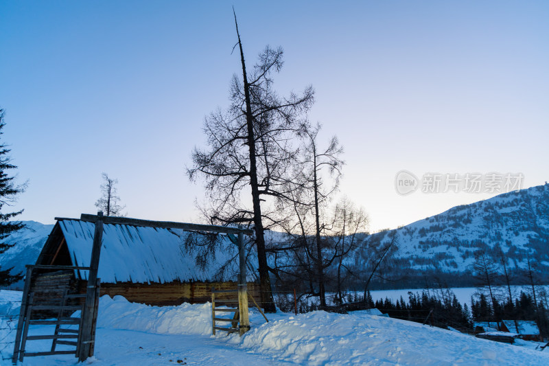 新疆喀纳斯雪景晨雾雪山森林雾凇