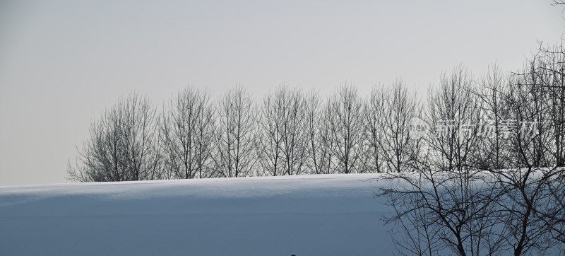 冬日雪景