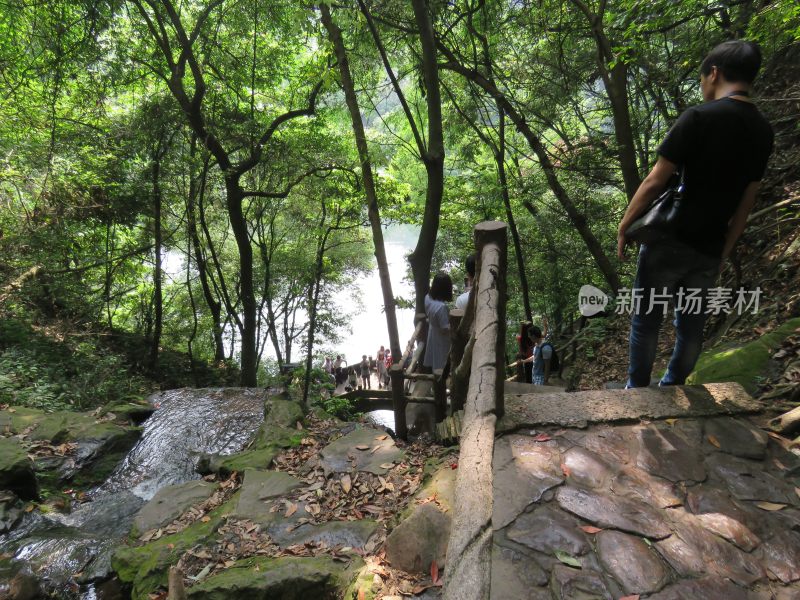 杭州九溪烟树景区