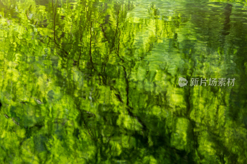 抽象绿色水波纹理