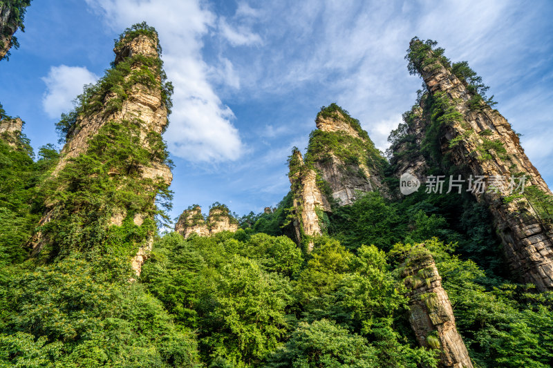 中国湖南张家界景区奇特山峰与茂密森林