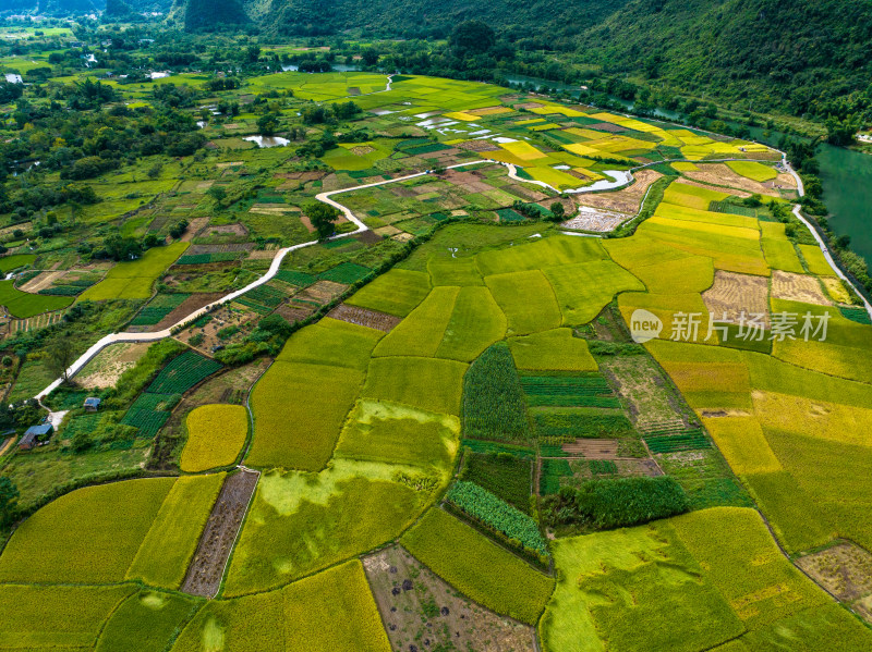 桂林阳朔十里画廊遇龙河山水风光 金秋稻田