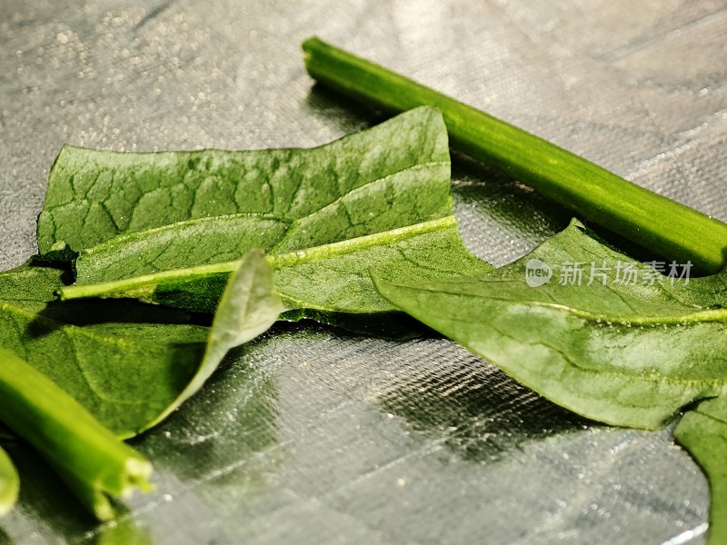 新鲜菠菜叶特写