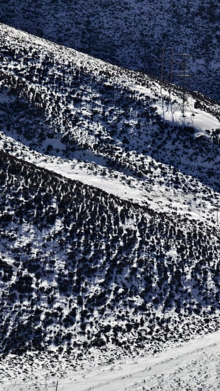 雪后植被覆盖的山地风景