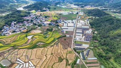 乡村田园大棚农业种植航拍图