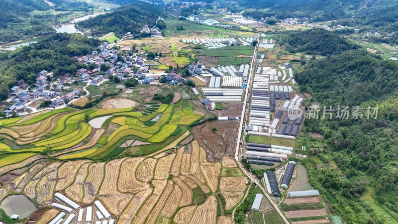 乡村田园大棚农业种植航拍图