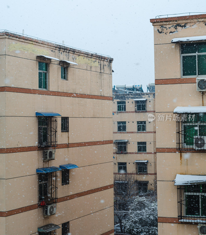 窗外飘雪的渭南小区风光