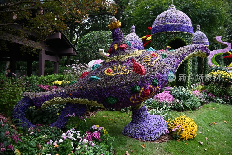 杭州植物园第十届杭州菊花展