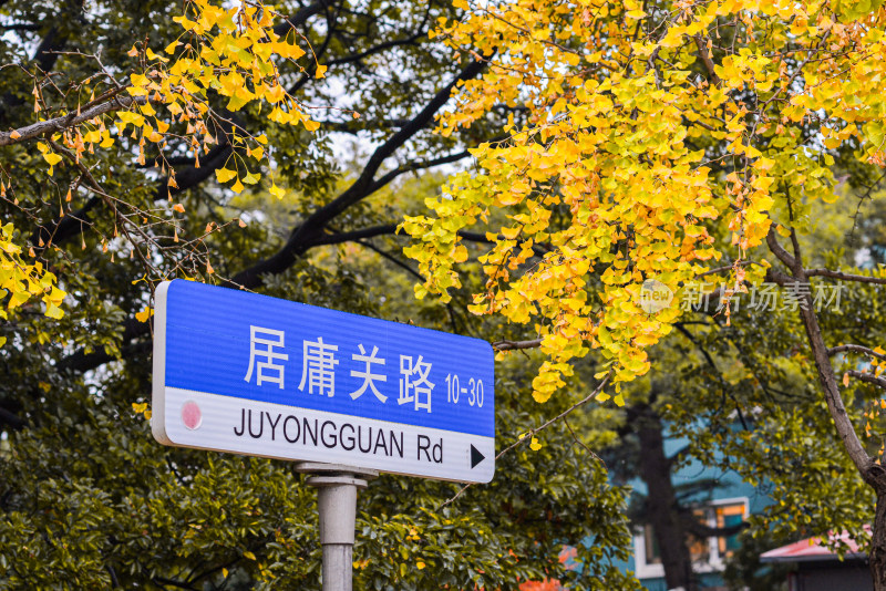 青岛八大关风景区风光