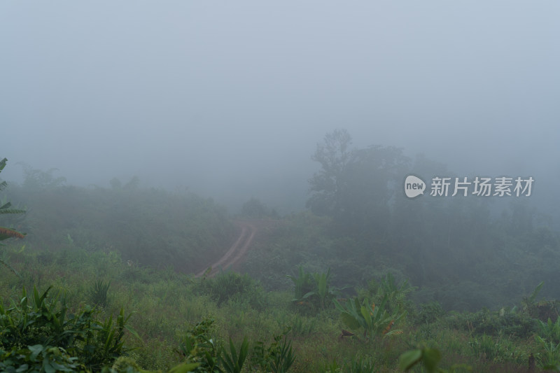 云雾缭绕的山间秘境