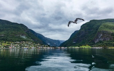 挪威松恩峡湾 挪威松恩峡湾