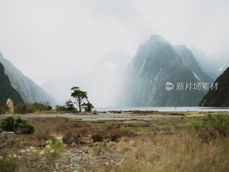 新西兰米佛峡湾Milford Sound