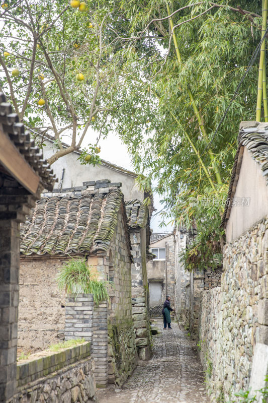 台州三门县自然景观