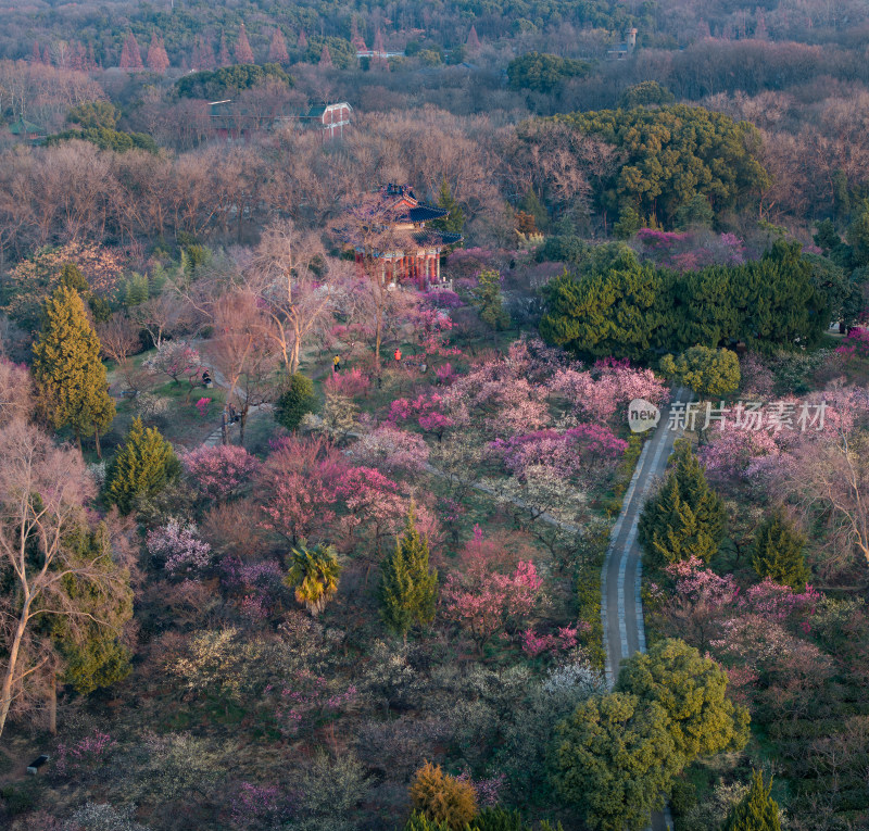 南京明孝陵梅花山中式建筑园林航拍全景