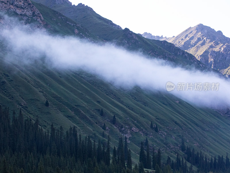 夏天新疆伊犁，晨雾中的山和森林的自然风景