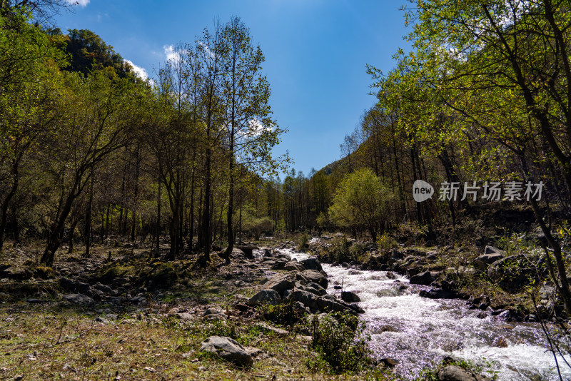 青海祁连风景区的秋色