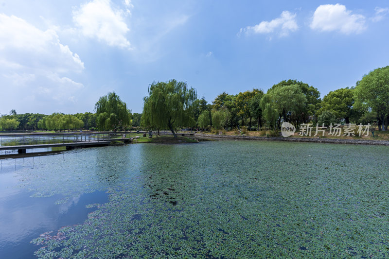 武汉蔡甸汤湖公园生态园林风景