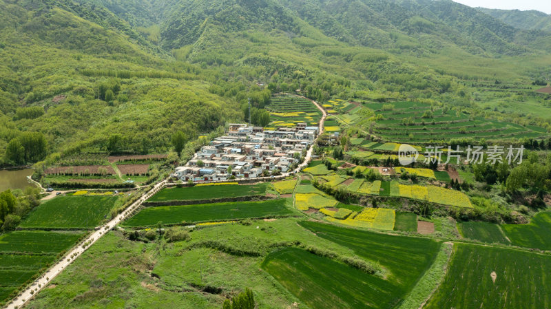 乡村振兴示范村--西安杨庄