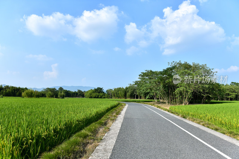 田园风光田间小路