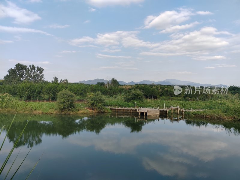 有木桥的江洲水域自然风景