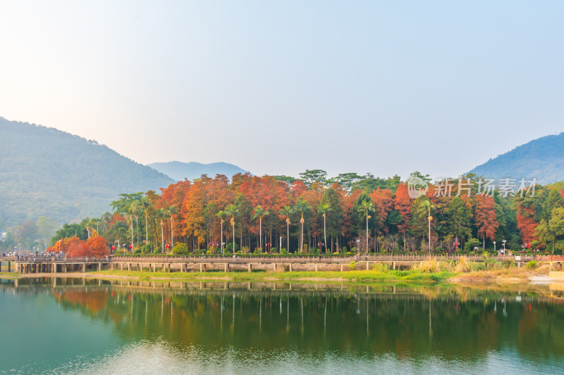 航拍福州森林公园秋景