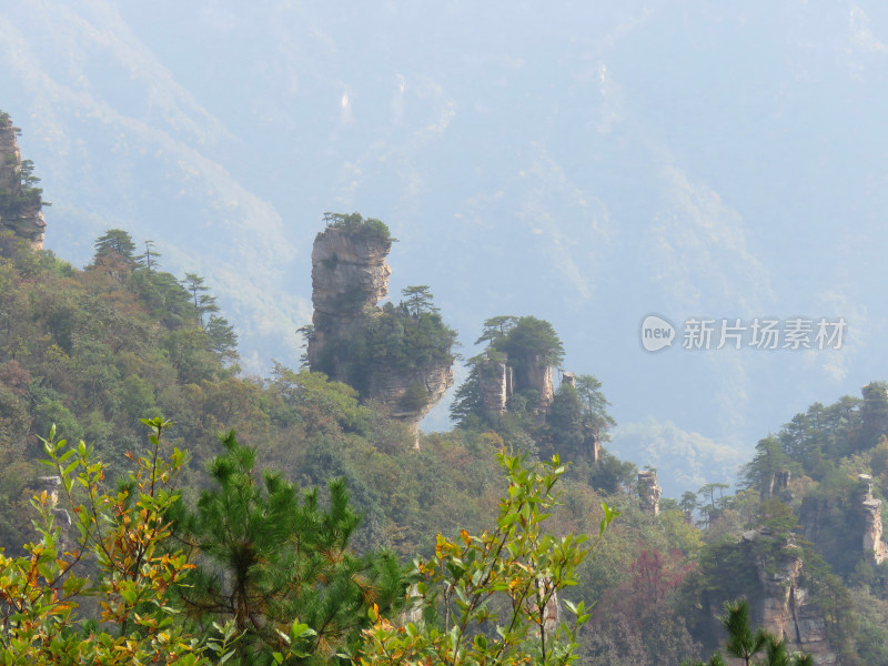 湖南张家界武陵源国家森林公园旅游风光