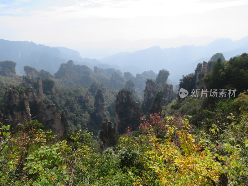 湖南张家界武陵源国家森林公园旅游风光