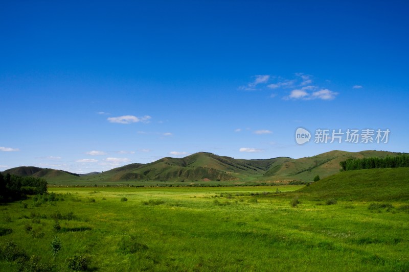 内蒙,坝上,乌兰木统,乌兰木统草原,红山,军马场,草原,草地,