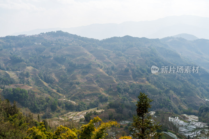 红河州元阳梯田自然风光