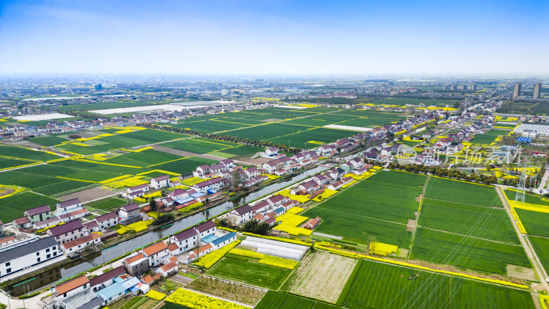 特色田园乡村-海安市李堡镇杨庄村