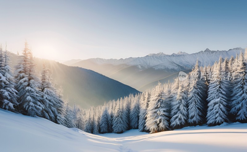 冬季森林白雪覆盖风景