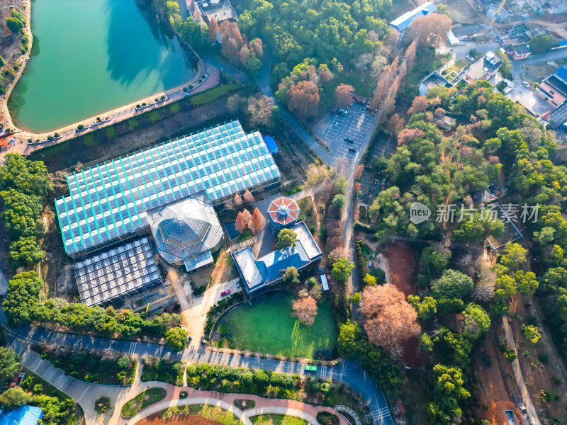 湖南省植物园航拍摄影图