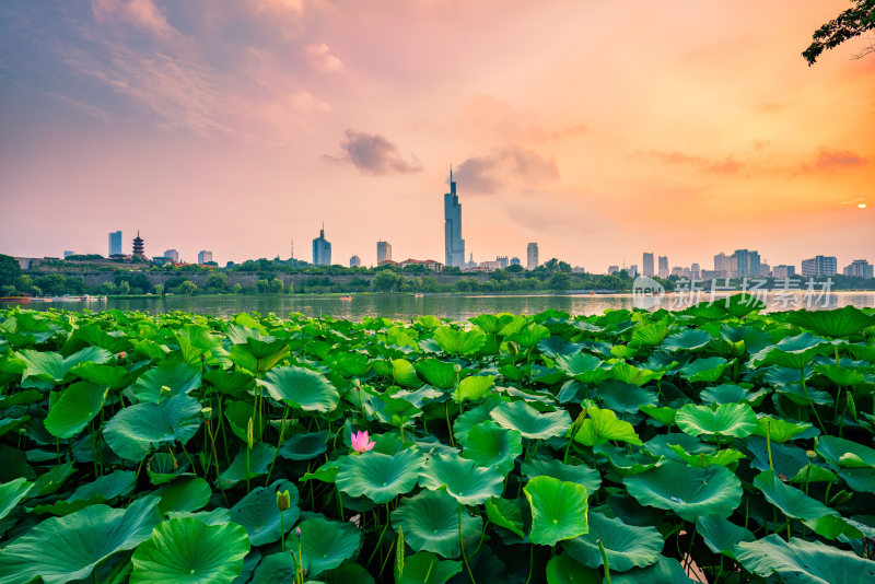 南京玄武湖与城市天际线日落