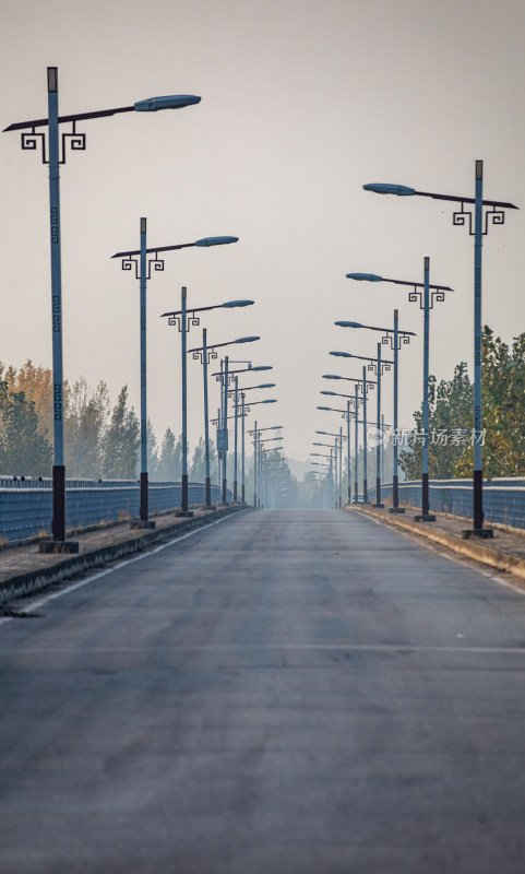 道路上整齐排列的中式路灯